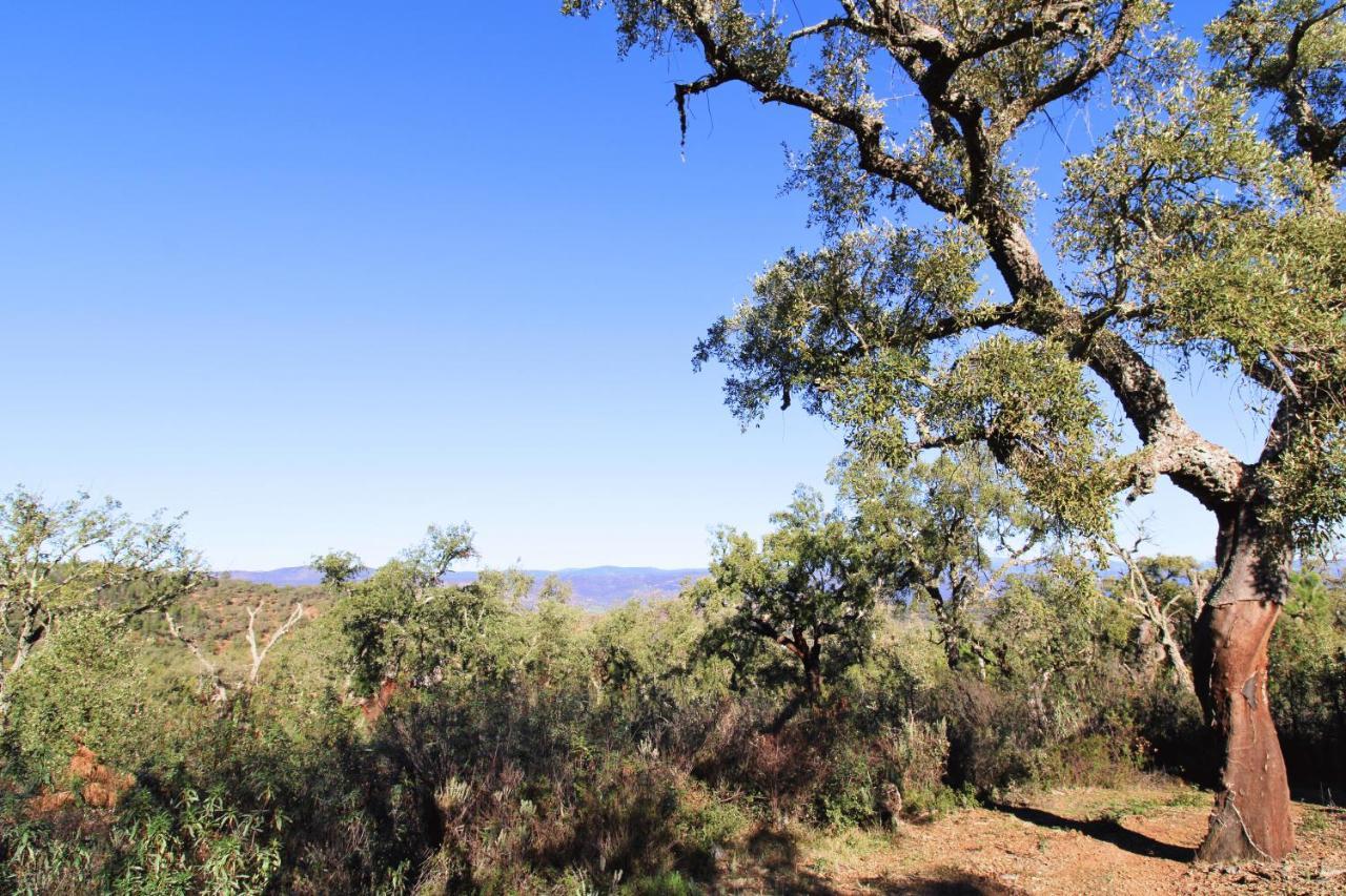 Finca Santa Ana - Only Adults By Sierra Viva Signature Cortelazor Εξωτερικό φωτογραφία